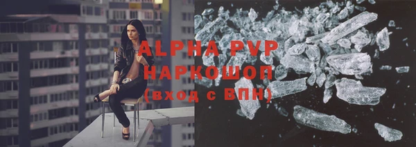 прущие крисы Белокуриха