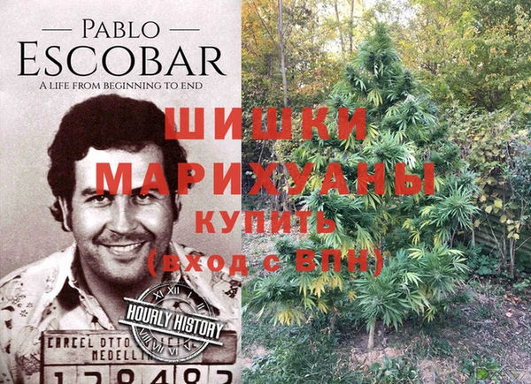 прущие крисы Белокуриха