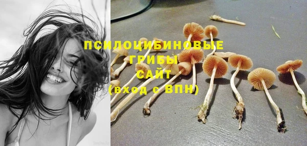 прущие крисы Белокуриха