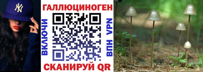 где купить   Невельск  Галлюциногенные грибы мухоморы 